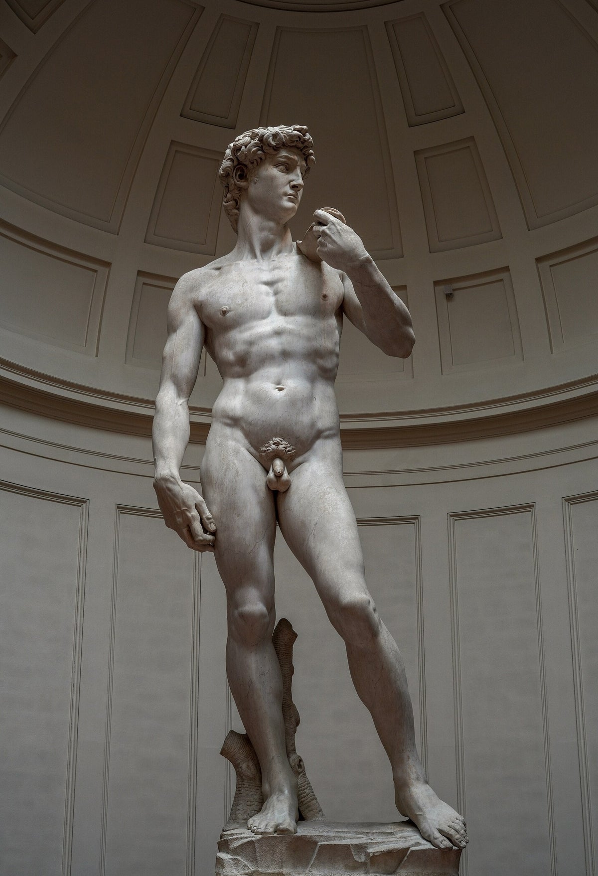The Ruined Marble Block Behind Michelangelo's David