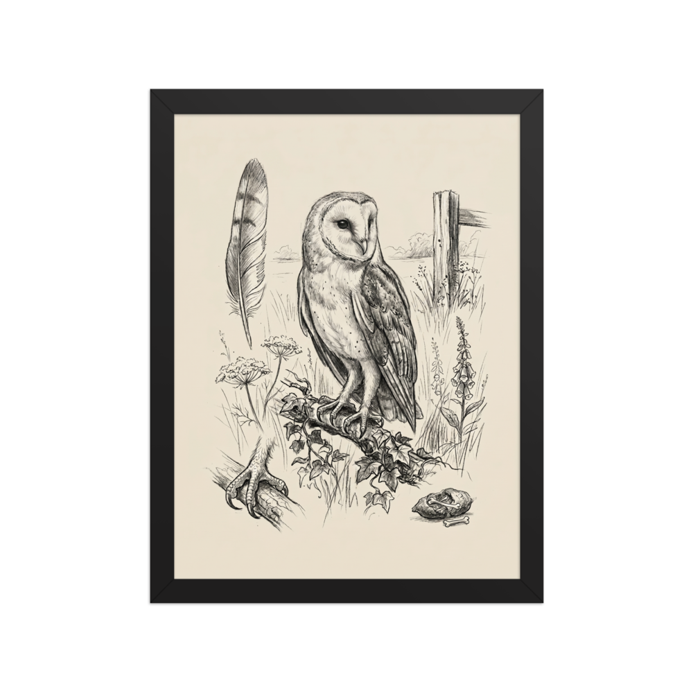 'Barn Owl Anatomy Study' — a Realism print. Pencil sketch of a barn owl with anatomical details including a feather, talons, and a skull.