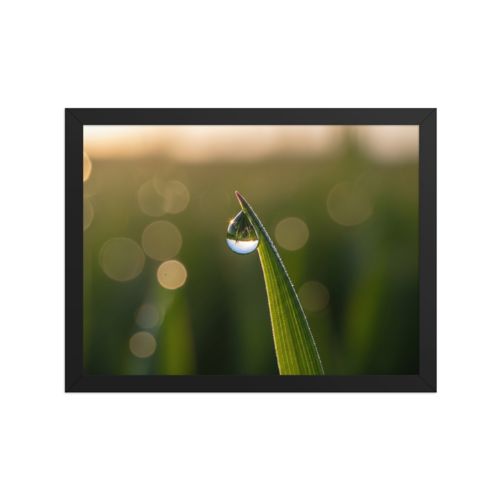 'World in a Drop' — a Art photography print. Macro photograph of a single water drop on a green blade of grass, reflecting the landscape inside it, set against a soft golden bokeh background, perfect for a calming sunroom.