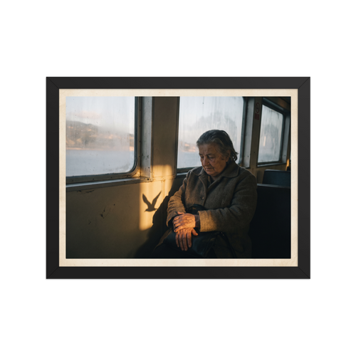 'Shadow of the Gull' — a Art photography print. An elderly woman sits thoughtfully by a window in golden sunlight with a bird shadow cast beside her, ideal for a contemplative living room or study.