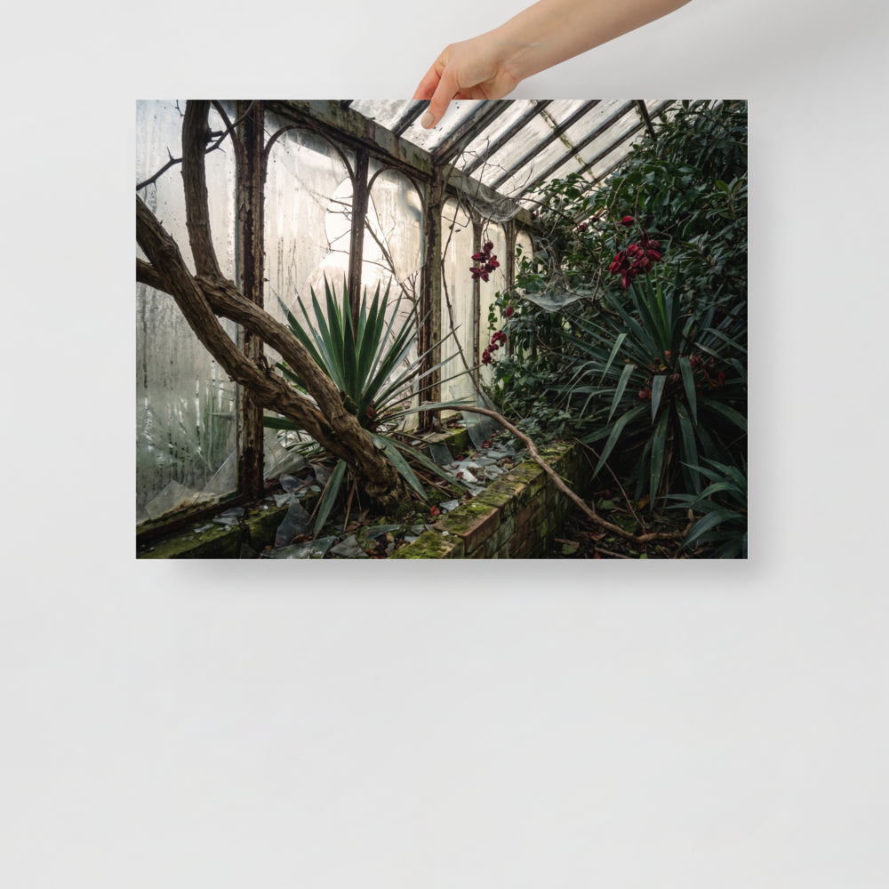 'The Overgrown Glasshouse' — a Art photography print. Overgrown abandoned greenhouse with shattered glass panes and wild tropical plants, moody architectural nature art for a library.