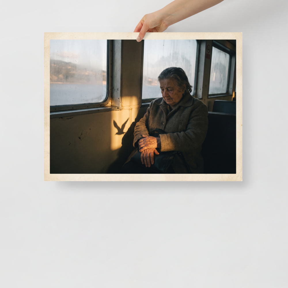 'Shadow of the Gull' — a Art photography print. An elderly woman sits thoughtfully by a window in golden sunlight with a bird shadow cast beside her, ideal for a contemplative living room or study.