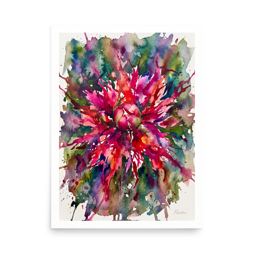 A lively / vibrant scene in magenta and crimson, 'Botanical Burst'. An expressive watercolor illustration of a magenta flower bursting into colorful splashes, ideal for dining room wall art.
