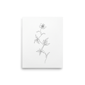 The Continuous Bloom Mockup