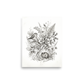 'Forest Companions Sketch' — a Realism print. Pencil sketch of a robin perched on a rose bush and a mouse on the ground.