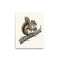 'Red Squirrel with Pinecone' — a Academic art,Realism print. Detailed colored illustration of a red squirrel sitting on a branch holding a pinecone.