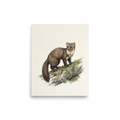 'Pine Marten on a Log' — a Academic art,Realism print. Colored illustration of a pine marten standing on a moss-covered log.