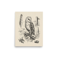 'Barn Owl Anatomy Study' — a Realism print. Pencil sketch of a barn owl with anatomical details including a feather, talons, and a skull.