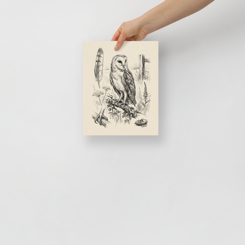 'Barn Owl Anatomy Study' — a Realism print. Pencil sketch of a barn owl with anatomical details including a feather, talons, and a skull.