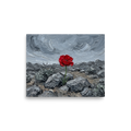 'Resilience in Stone' — a Symbolism print. An impasto painting of a single red poppy blooming in gray rocks, offering a powerful statement piece for a Bedroom.