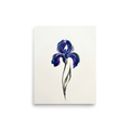 'Violet Impressions' — a Minimalism,Impressionism print. An expressive minimalist painting of a single purple iris flower using thick, bold brushstrokes on a white background, perfect for a Bedroom or Office.