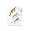 'Spring Aviary Sketch' — a Minimalism print. A minimalist watercolor painting of three birds in rust, sage, and slate blue perched on delicate branches, perfect for a calming Nursery or Bedroom.