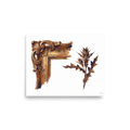 'Gilded Frame and Thistle' — a Baroque,Realism print. An oil painting of an ornate golden picture frame corner beside a rustic brown thistle leaf against a white background, perfect for a vintage-inspired living room.