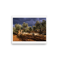 'Storm Over the Olive Grove' — a Art photography print. Ancient olive trees bathed in golden light under dramatic storm clouds, perfect landscape photography for a living room.
