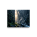 'Sunbeams in the Gorge' — a Art photography print. Golden sunbeams filtering down into a mossy volcanic canyon gorge, serene nature decor for a calming bedroom.