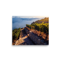 'Vineyard Above the Clouds' — a Art photography print. Golden hour sunlight over terraced vineyards rising above coastal sea fog, inviting landscape decor for a dining room or kitchen.