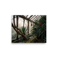 'The Overgrown Glasshouse' — a Art photography print. Overgrown abandoned greenhouse with shattered glass panes and wild tropical plants, moody architectural nature art for a library.