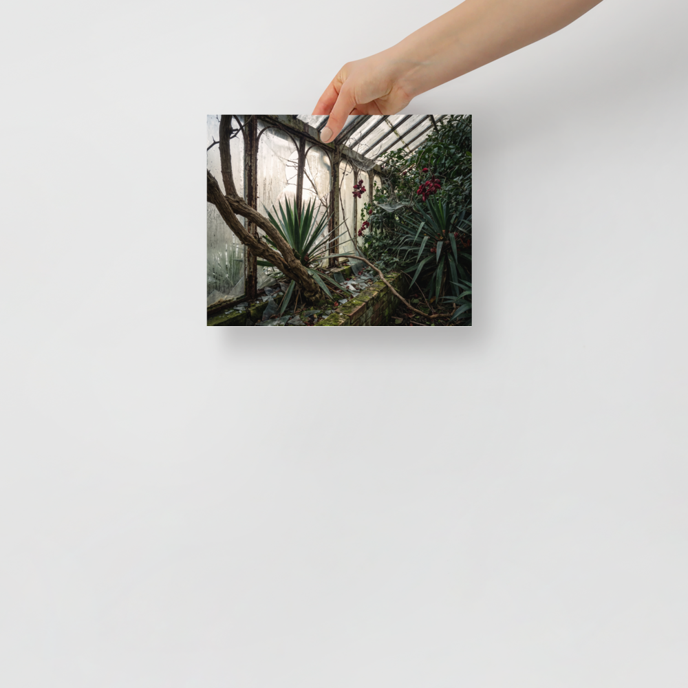 'The Overgrown Glasshouse' — a Art photography print. Overgrown abandoned greenhouse with shattered glass panes and wild tropical plants, moody architectural nature art for a library.