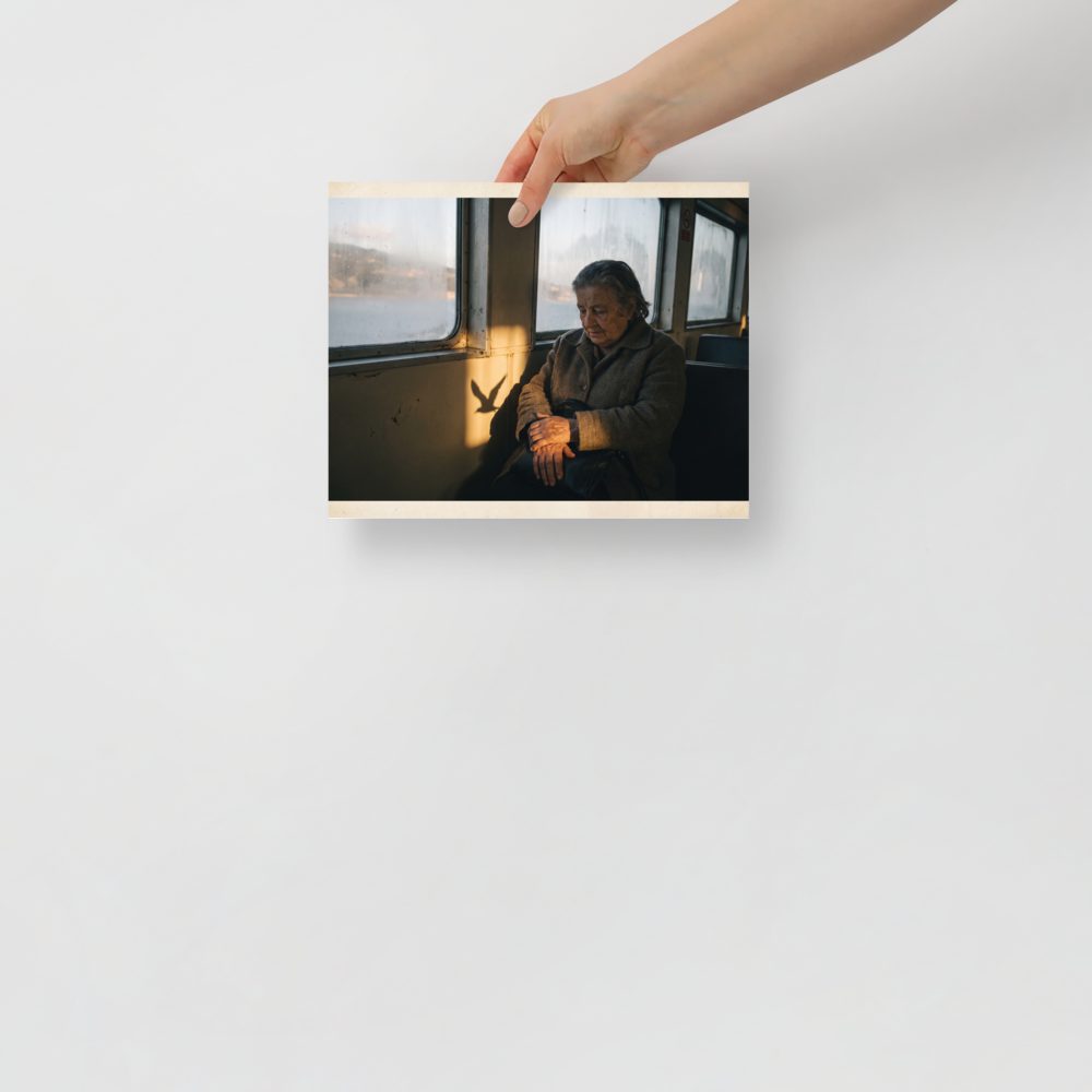 'Shadow of the Gull' — a Art photography print. An elderly woman sits thoughtfully by a window in golden sunlight with a bird shadow cast beside her, ideal for a contemplative living room or study.