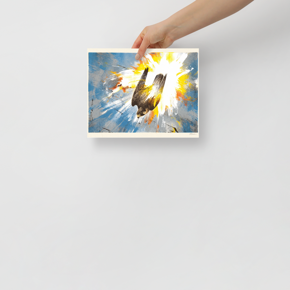Pop art wall art exploring animals, 'Terminal Stoop'. A dramatic print of a falcon diving headfirst with explosive yellow and white paint splashes, perfect as office wall art.