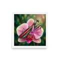 'Chrome Mantis' — a Surrealism print. A vibrant illustration of a metallic praying mantis painted like a hot rod in cherry red and chrome sitting on a pink orchid, perfect for a studio.