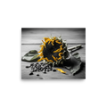 'Harvest Echoes' — a Art photography print. A selective color photograph of a dried sunflower and scattered seeds on a wooden table, offering a rustic yet modern touch for a Kitchen.
