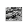 'The Keeper of Memories' — a Art photography print. A black and white photograph of an older person's hands holding a small burlap doll over a cracked wooden table, an atmospheric piece for a Library.