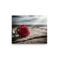 'Red Rose on Stone' — a Art photography print. Close-up photograph of a vivid red rose lying on textured stone against a soft, moody landscape, perfect for a romantic bedroom or living room.