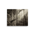 'Stone and Sprout' — a Art photography print. A moody photograph of a slender branch with bright green leaves growing from an ancient stone wall, an inspiring nature piece for a Living Room.