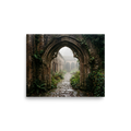 'The Forgotten Abbey' — a Art photography print. A photograph of a ruined gothic abbey covered in lush greenery and thick fog, bringing an element of mystery to a Library or Study.