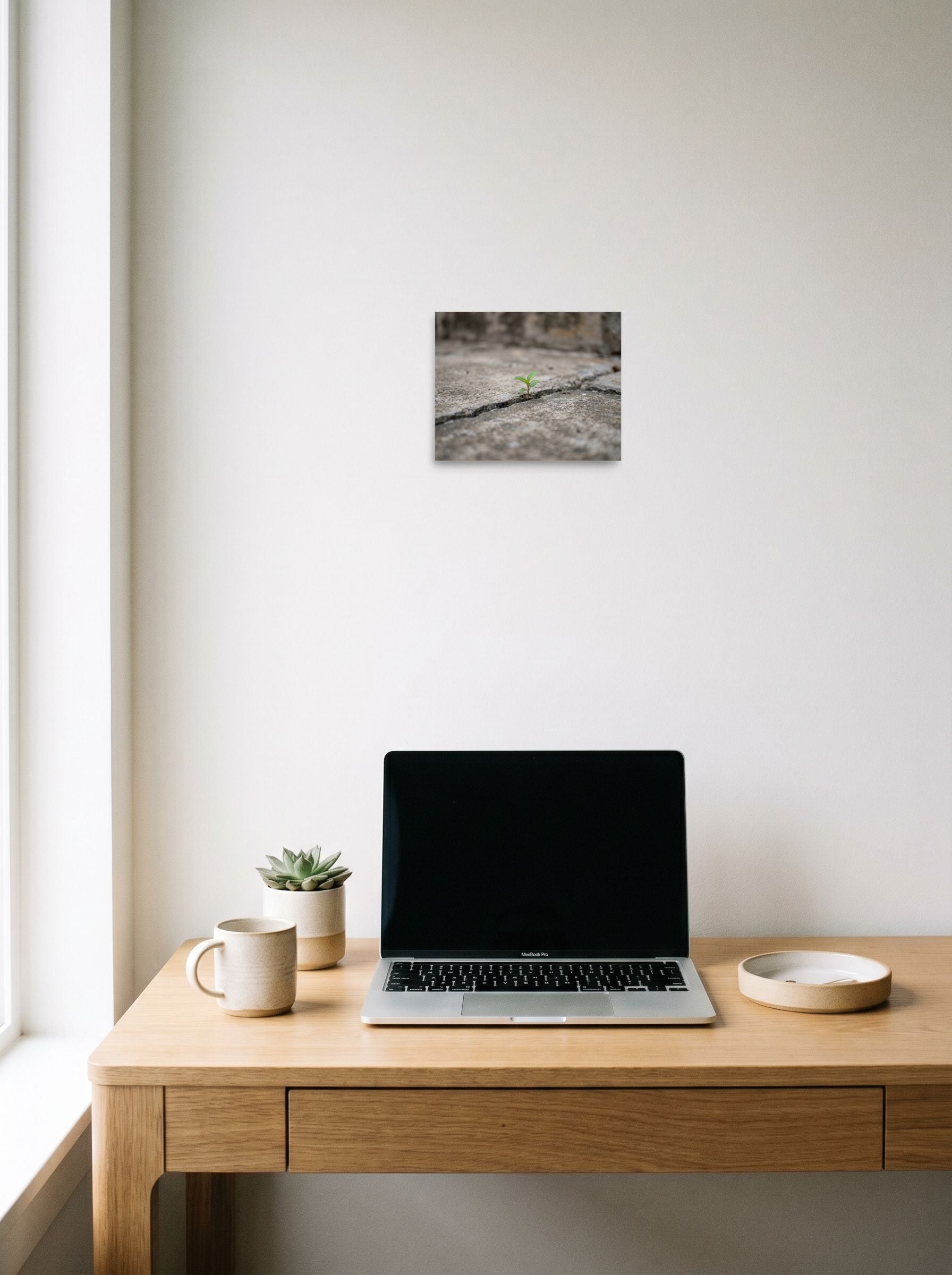 A 10x8 inch unframed paper Art photography print of 'Concrete Resilience' hanging above a worktable with a laptop.