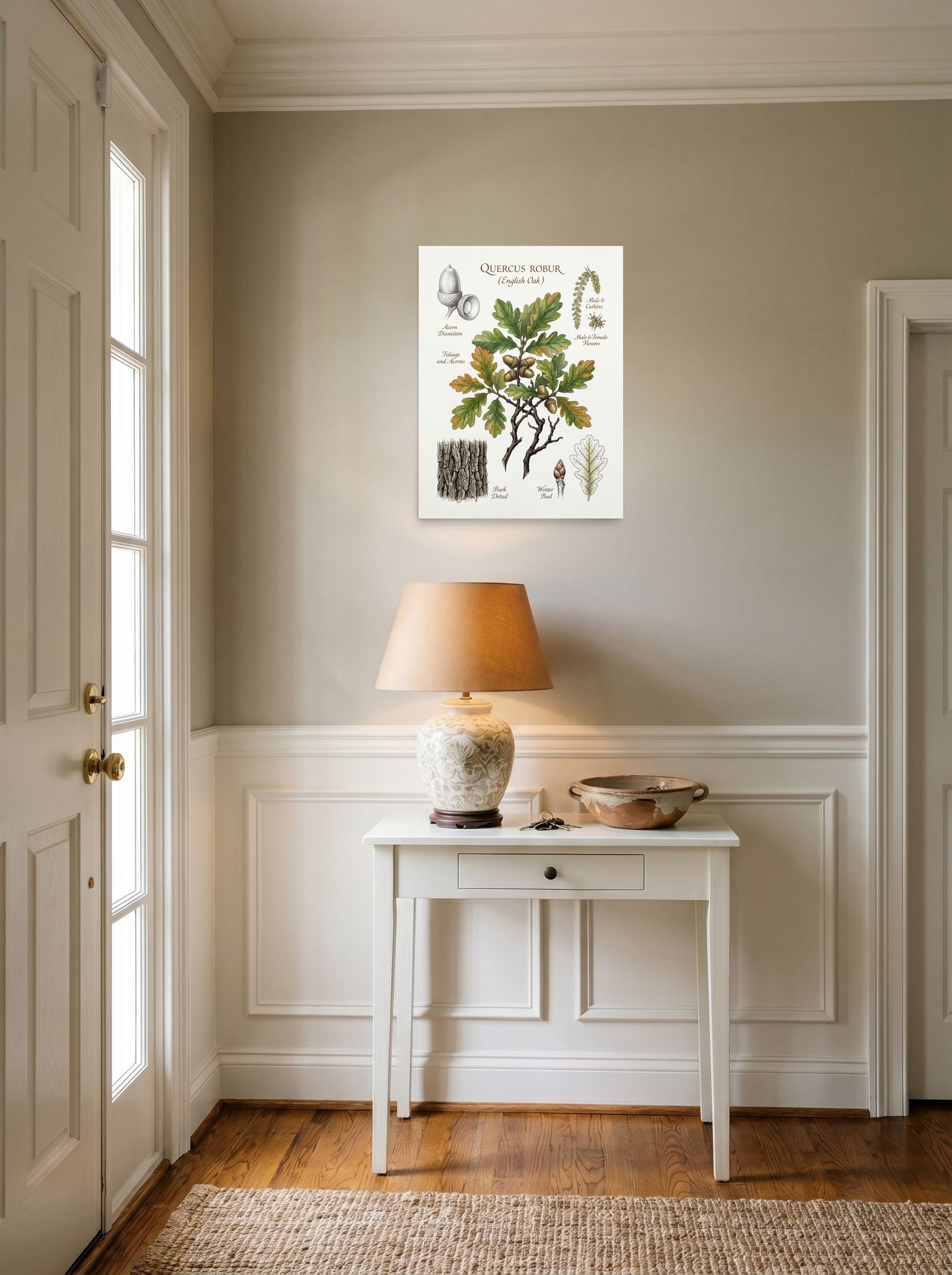 A 18x24 inch unframed paper Academic art,Realism print of 'English Oak Botanical Study' hanging in an entryway near a console.