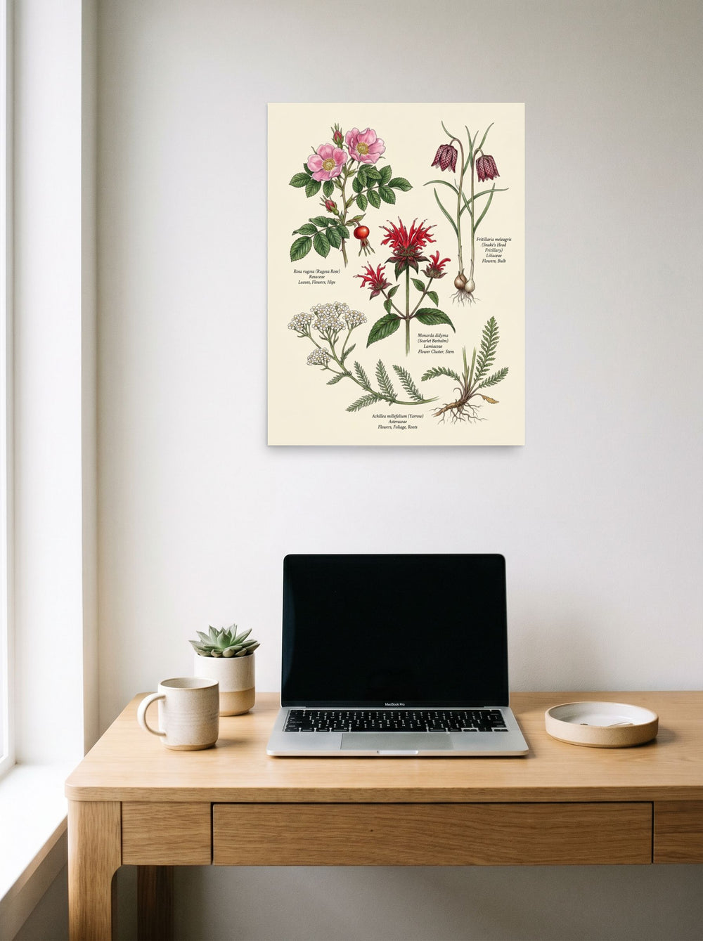 A 18x24 inch unframed paper Academic art,Realism print of 'Wildflowers and Herbs Compendium' hanging above a worktable with a laptop.