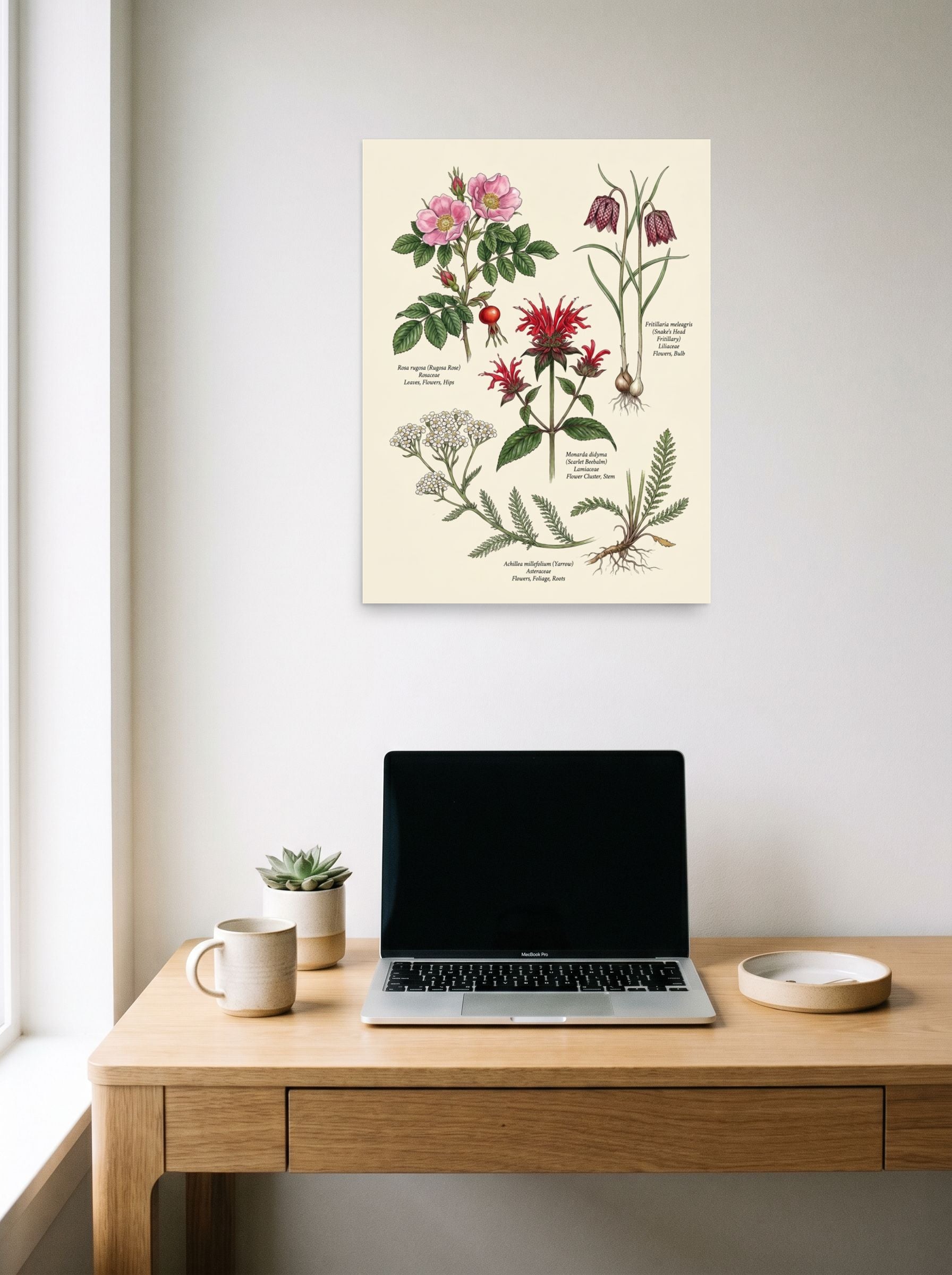 A 18x24 inch unframed paper Academic art,Realism print of 'Wildflowers and Herbs Compendium' hanging above a worktable with a laptop.