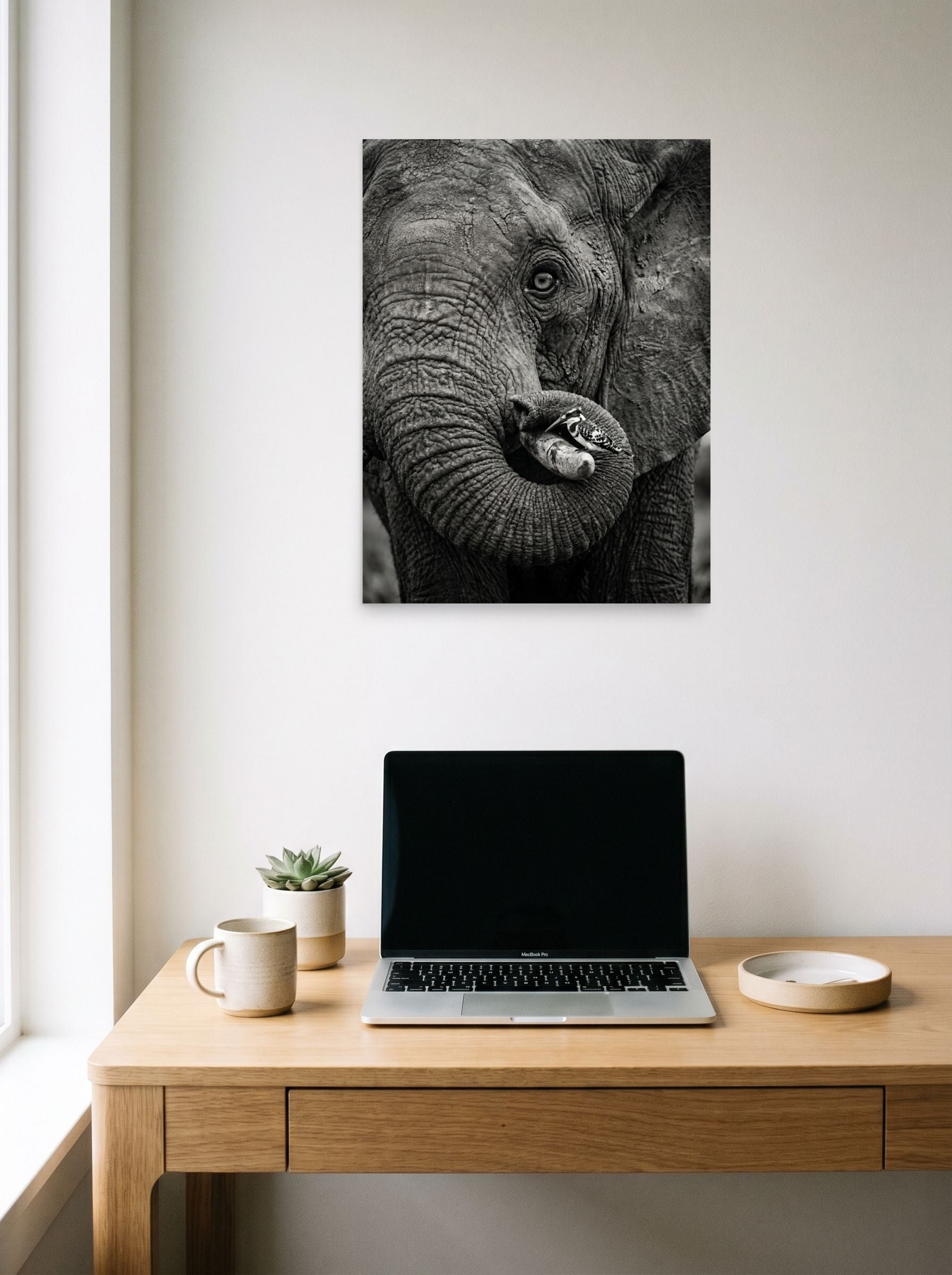 A 18x24 inch unframed paper Art photography print of 'Symbiosis in Monochrome' hanging above a worktable with a laptop.