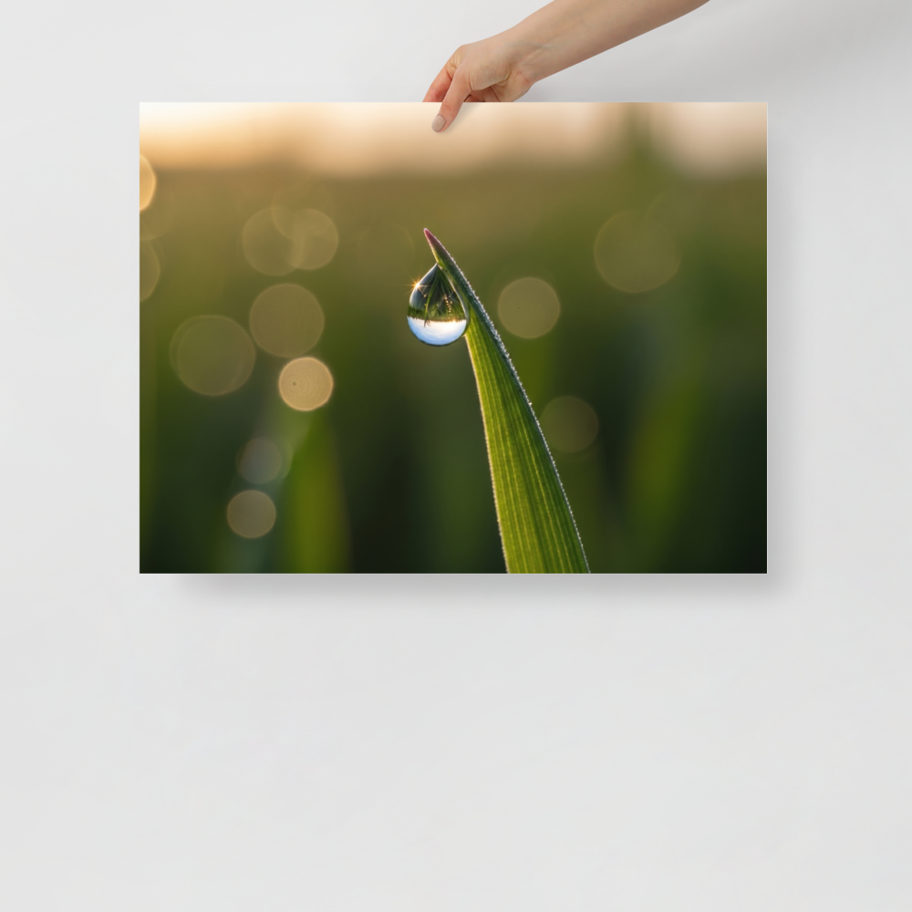 'World in a Drop' — a Art photography print. Macro photograph of a single water drop on a green blade of grass, reflecting the landscape inside it, set against a soft golden bokeh background, perfect for a calming sunroom.