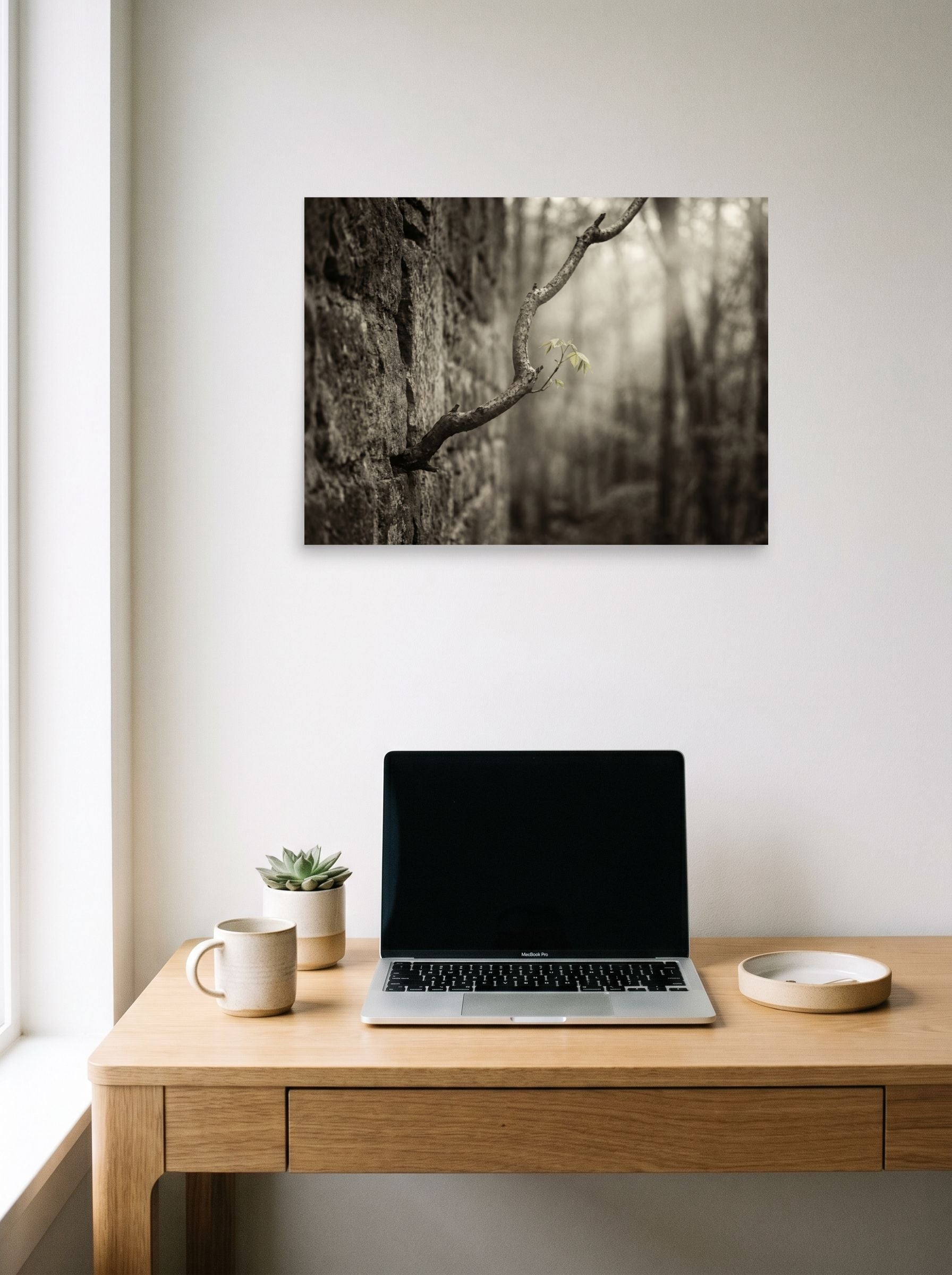 A 24x18 inch unframed paper Art photography print of 'Stone and Sprout' hanging above a worktable with a laptop.