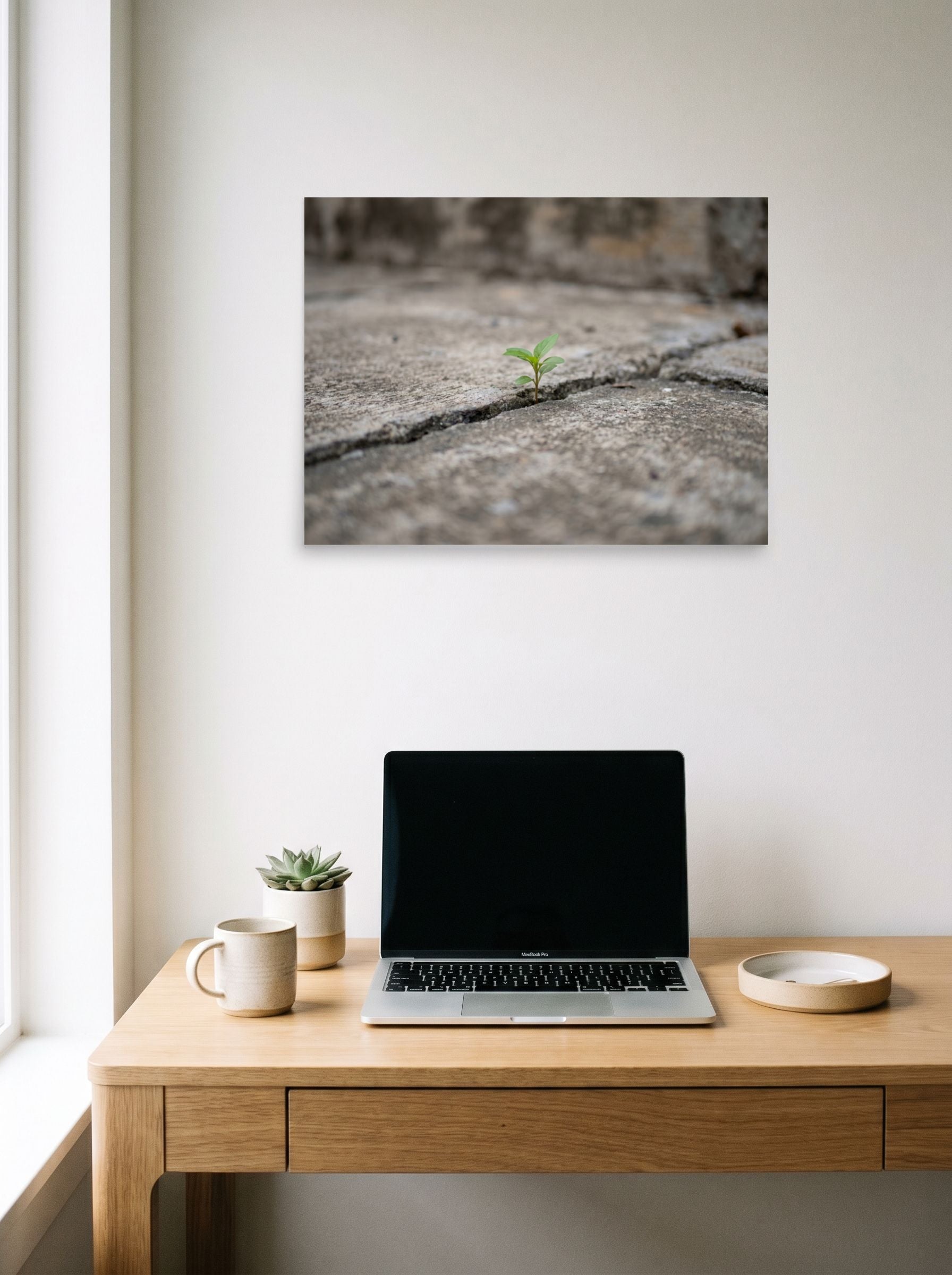 A 24x18 inch unframed paper Art photography print of 'Concrete Resilience' hanging above a worktable with a laptop.