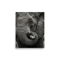'Symbiosis in Monochrome' — a Art photography print. A close-up black and white photograph of an elephant's textured face with a small black and white bird perched on its tusk, perfect for a modern Living Room.